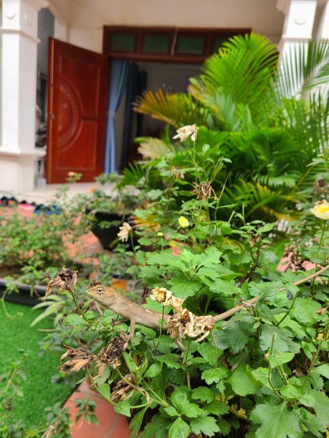 An Homestay ヴィンイエン エクステリア 写真